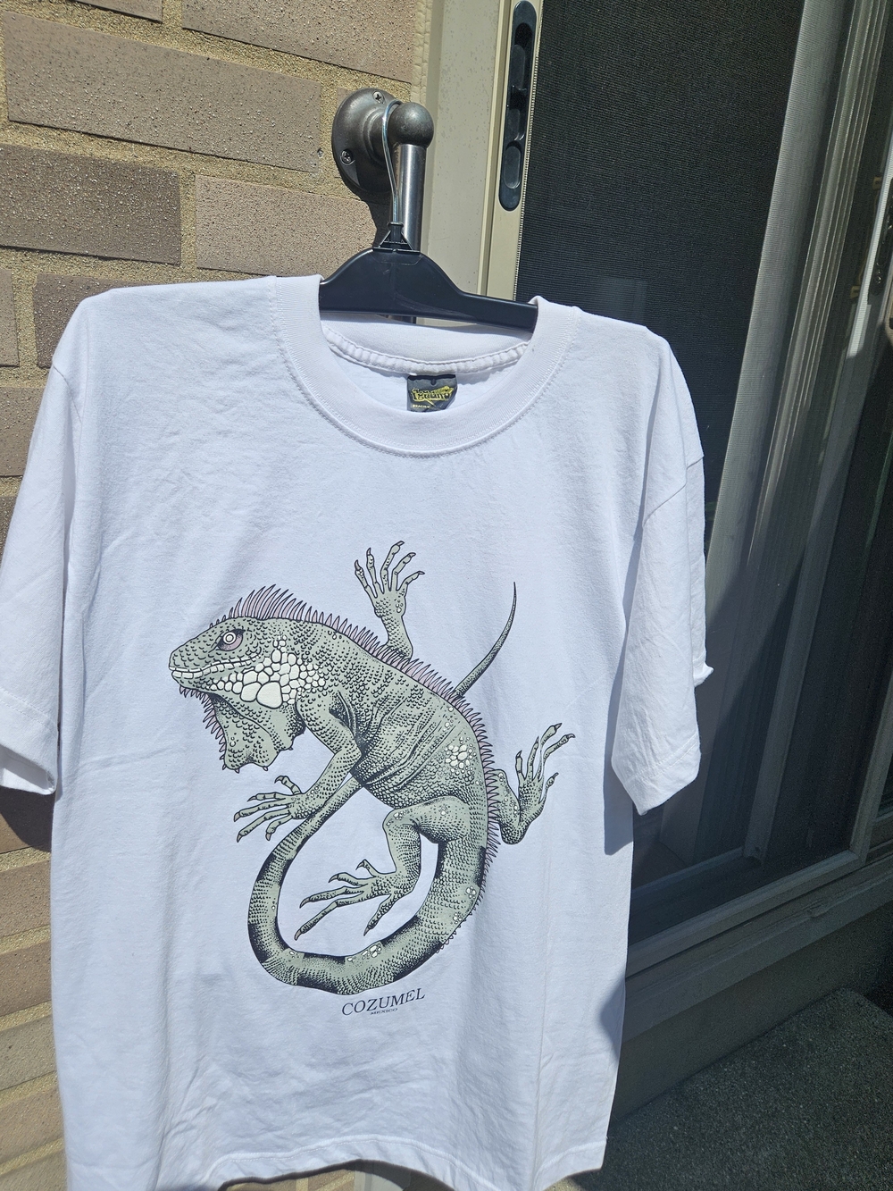 Iguana Graphic Tee - White